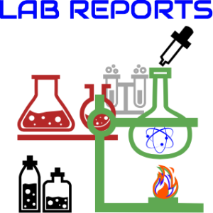 lab reports icon